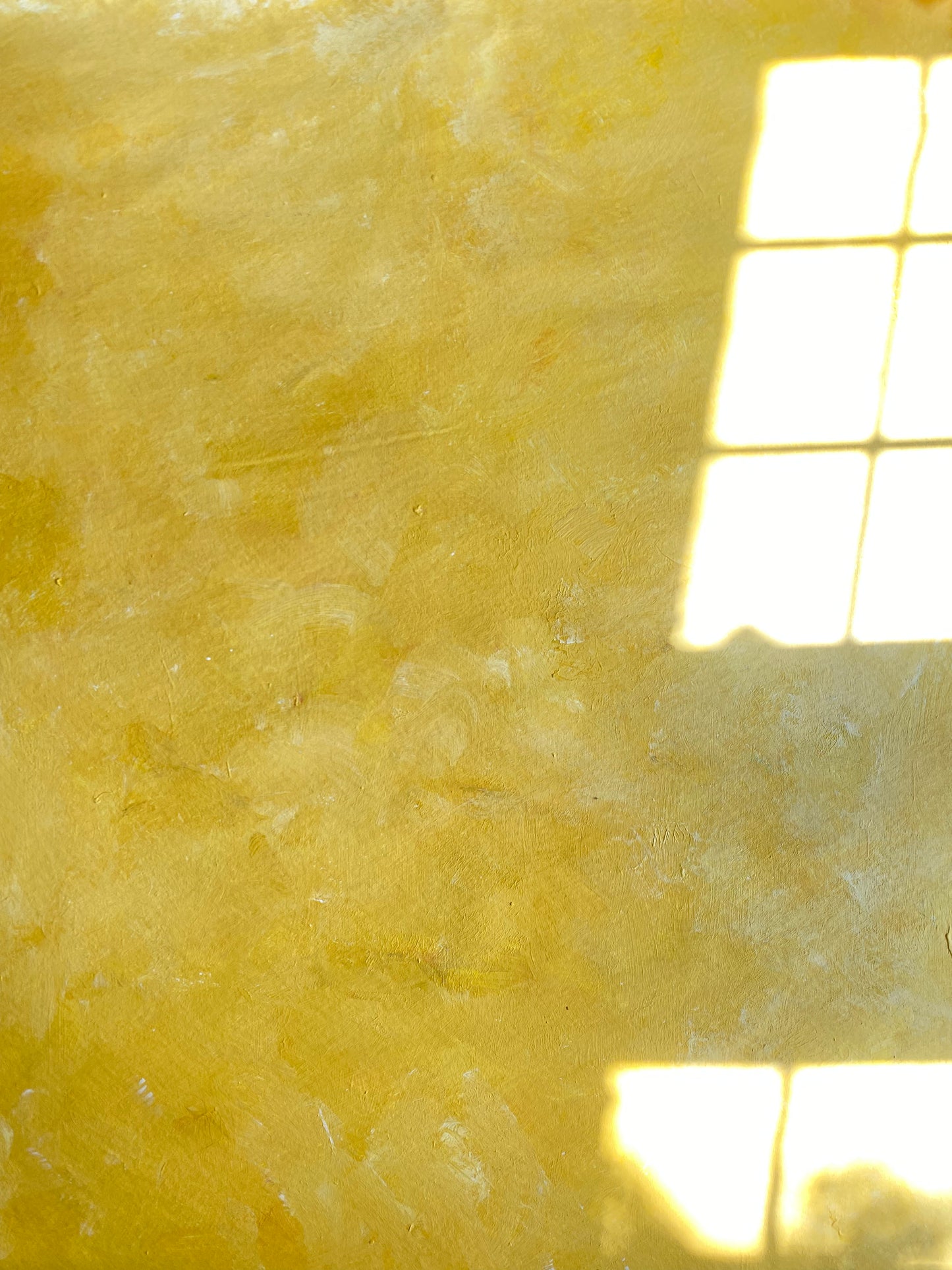 Goldenrod 3x4' Backdrop | Large Styling Mat