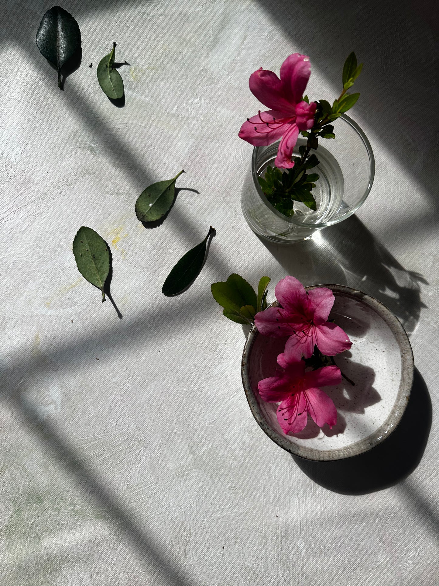 SOFT LIGHT